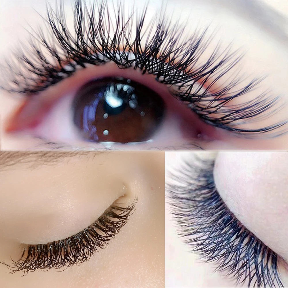 16 Lines YY Shape Eyelash Extensions